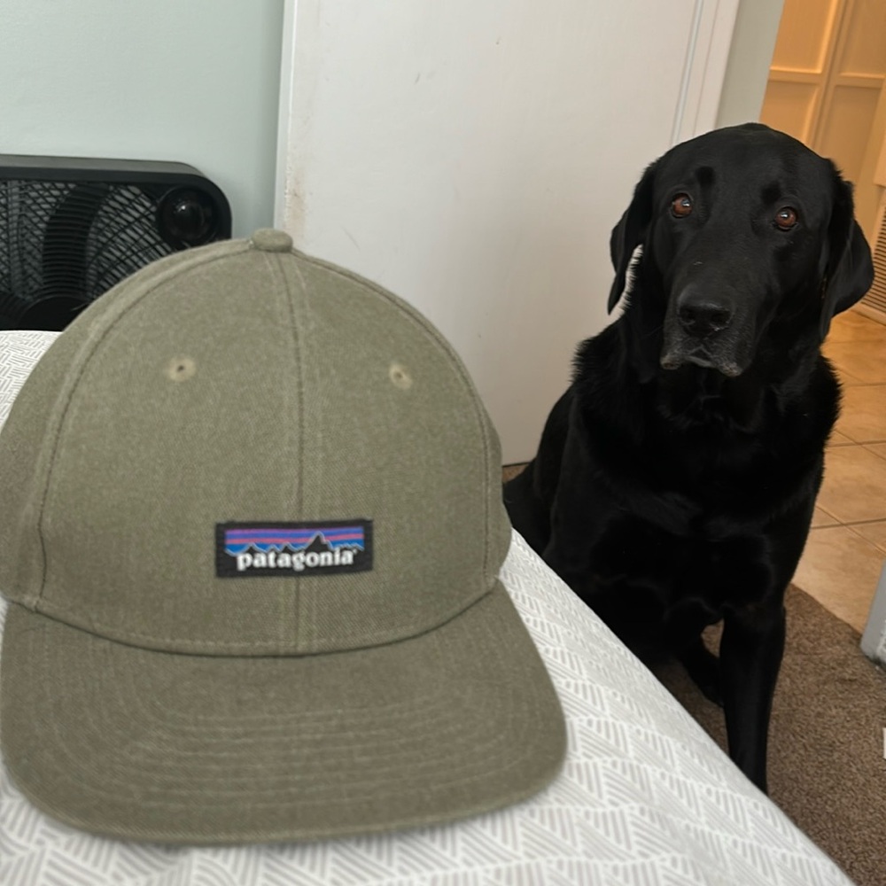 Green Patagonia hat